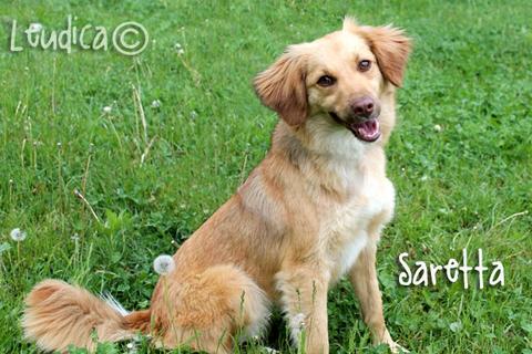 Saretta adottata! 